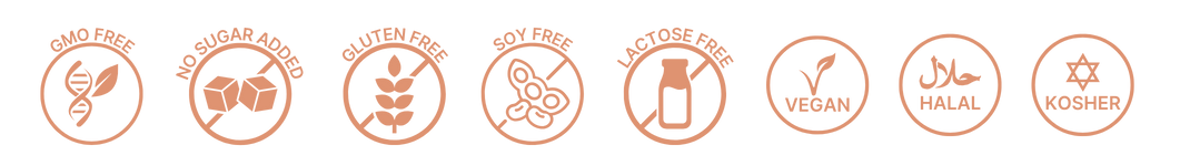 Row of eight terracotta-colored icons representing product benefits: plant-based, non-GMO, sugar-free, caffeine-free, no artificial flavors, vegan, gluten-free, and made in the USA.